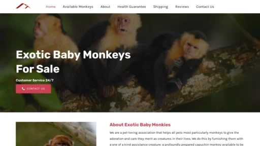 A screenshot of Exoticbabymonkies.com