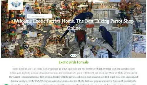 A screenshot of Exoticbirdsforsale.net
