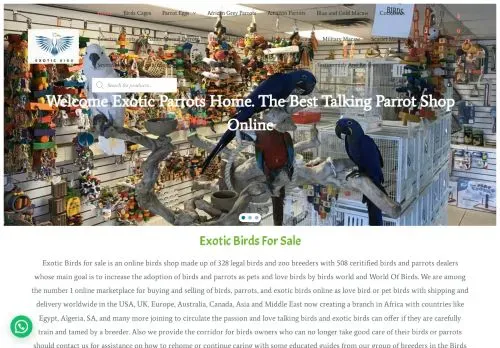 is exoticbirdsforsale.net legit? screenshot