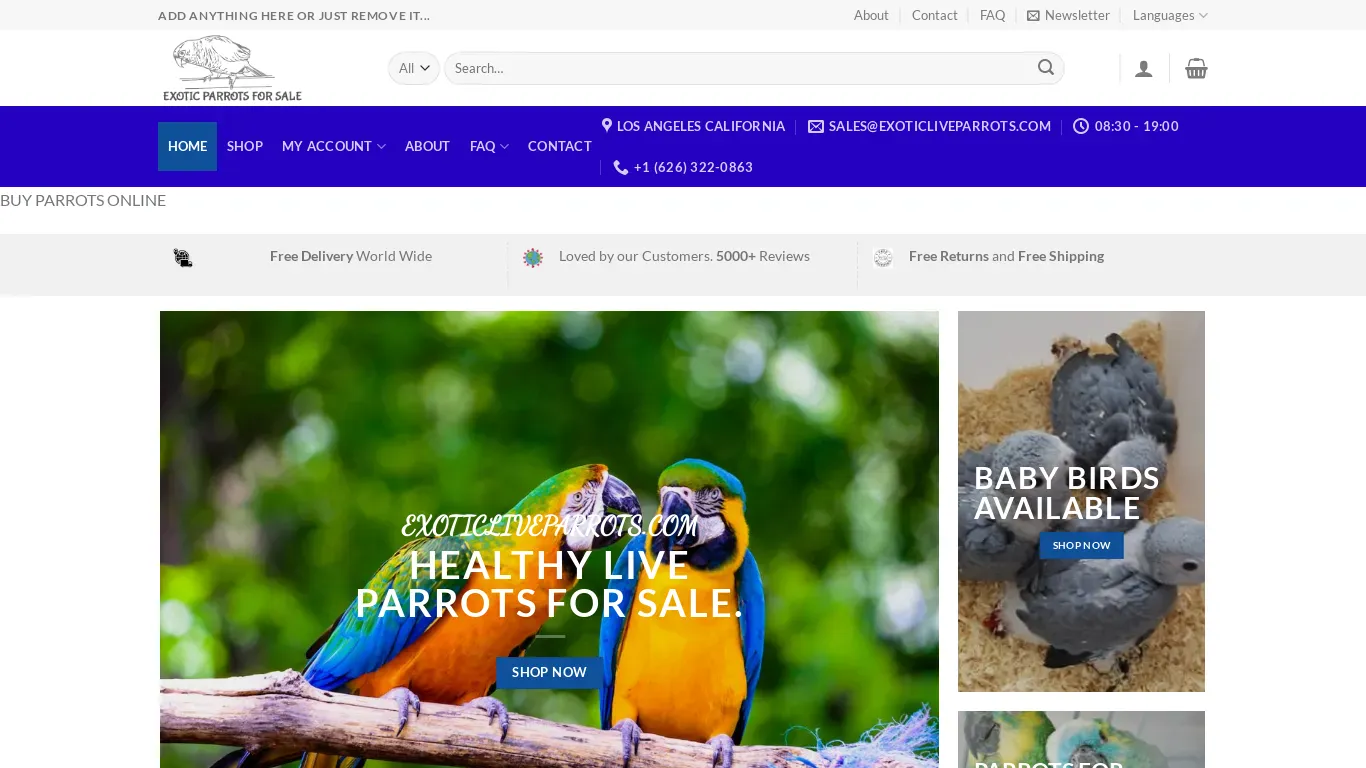 is exoticliveparrots.com legit? screenshot