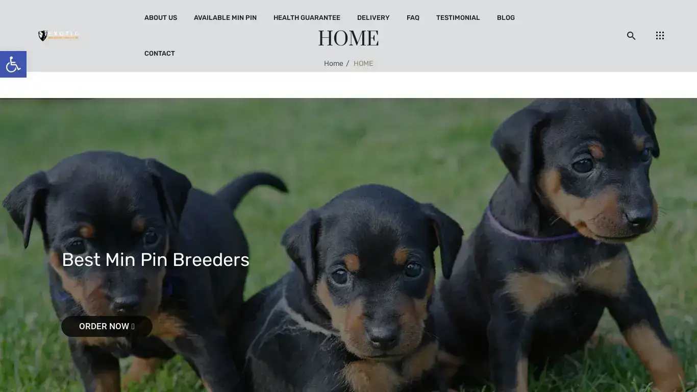 is Miniature Pinscher Puppies For Sale - Exotic Miniature Pinschers legit? screenshot