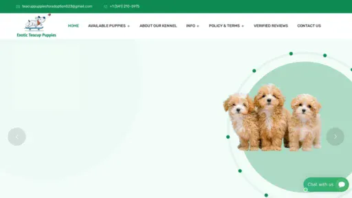 A screenshot of Exoticteacuppuppiesforadoption.com