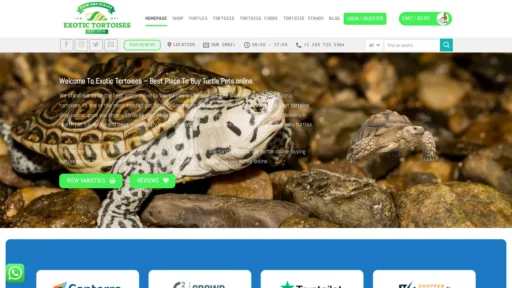 A screenshot of Exotictortoises.com