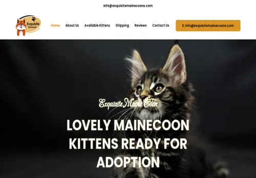is exquisitemainecoons.com legit? screenshot