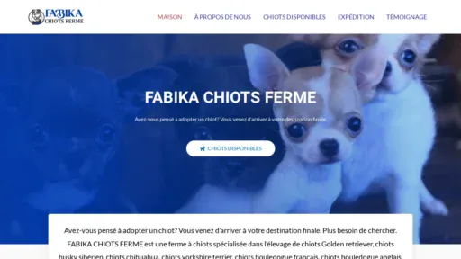 A screenshot of Fabikapuphuis.online