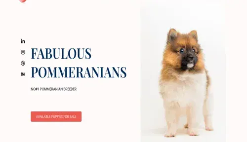 A screenshot of Genlanfamilystbernard.com