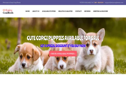 is fairycorgibreds.com legit? screenshot