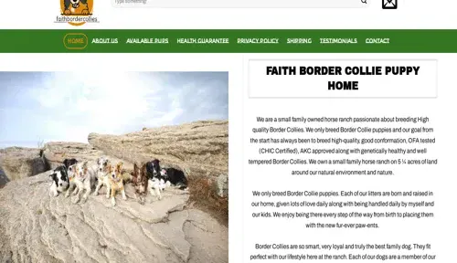 A screenshot of Genlanfamilystbernard.com