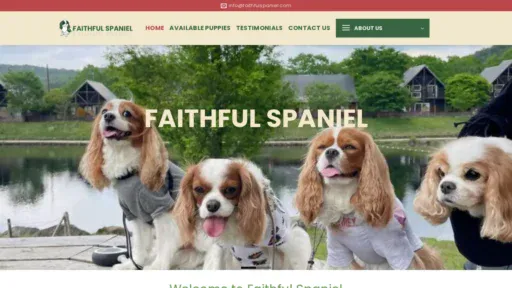 A screenshot of Faithfulspaniel.com