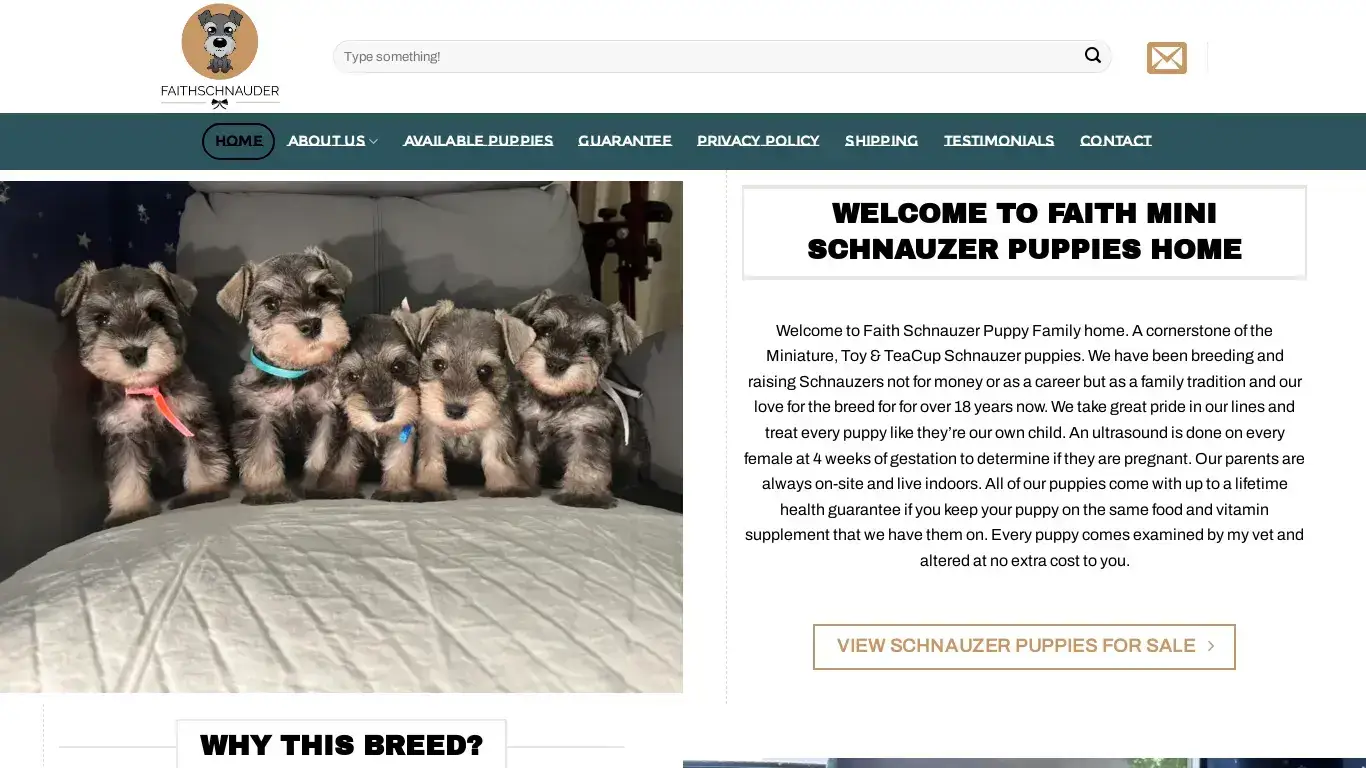 is Faith Schnauzer Puppy Home legit? screenshot