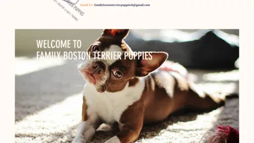 A screenshot of Familybostonterrierpets.com