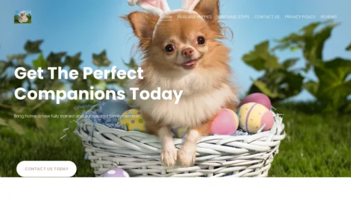 A screenshot of Familychihuahuas.com