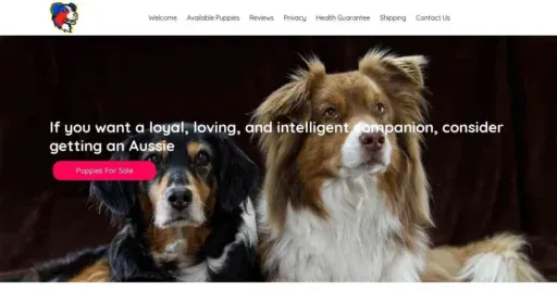 A screenshot of Genlanfamilystbernard.com