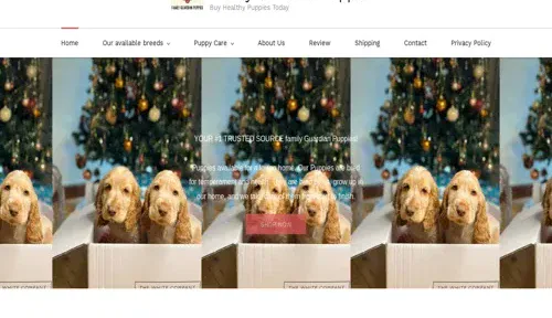 A screenshot of Genlanfamilystbernard.com