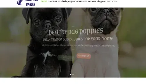 A screenshot of Genlanfamilystbernard.com