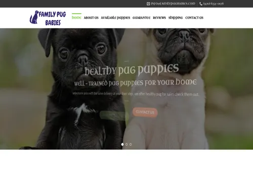is familypugbabies.com legit? screenshot