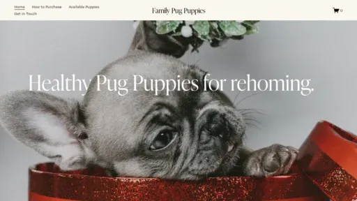A screenshot of Familypugpuppies.com