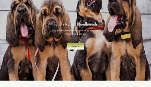 A screenshot of Genlanfamilystbernard.com