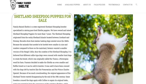 A screenshot of Genlanfamilystbernard.com