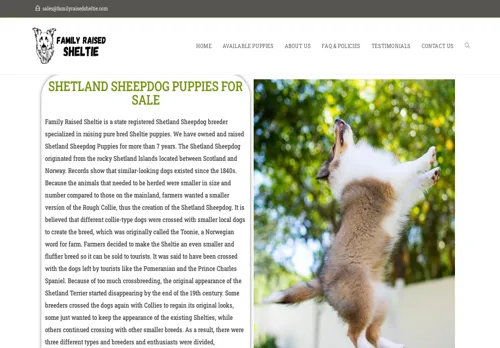 is familyraisedsheltie.com legit? screenshot