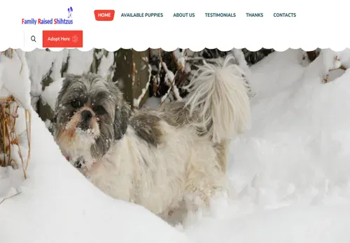 is familyraisedshihtzus.com legit? screenshot