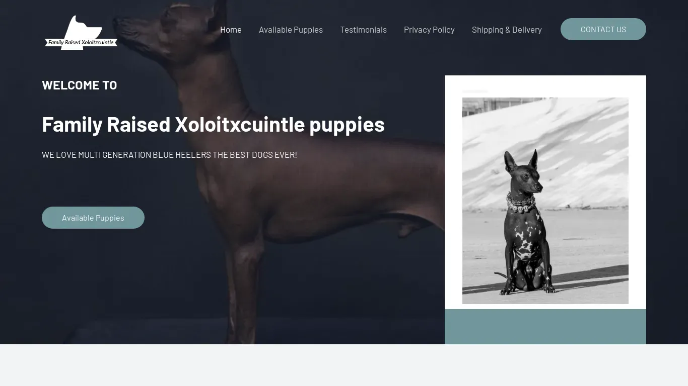is familyraisedxoloitzcuintlepuppies.com legit? screenshot