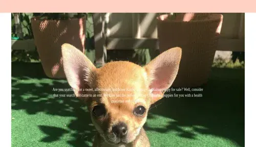A screenshot of Genlanfamilystbernard.com