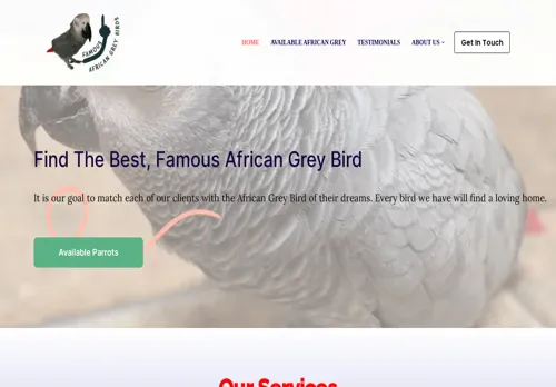 is famousbichonfriseblog.com legit? screenshot