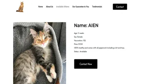 A screenshot of Genlanfamilystbernard.com