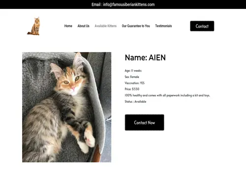 is famousiberiankittens.com legit? screenshot