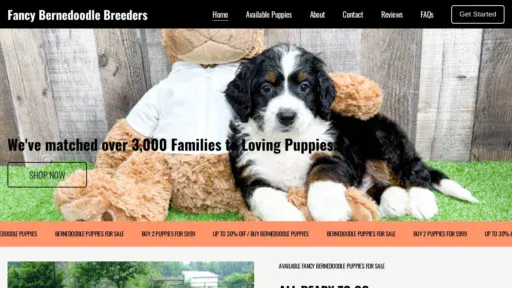 A screenshot of Fancybernedoodlebreeders.com
