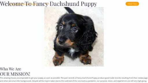 A screenshot of Fancydachshundpuppy.com