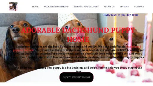 A screenshot of Fancydachshundpuppyhomeusa.com