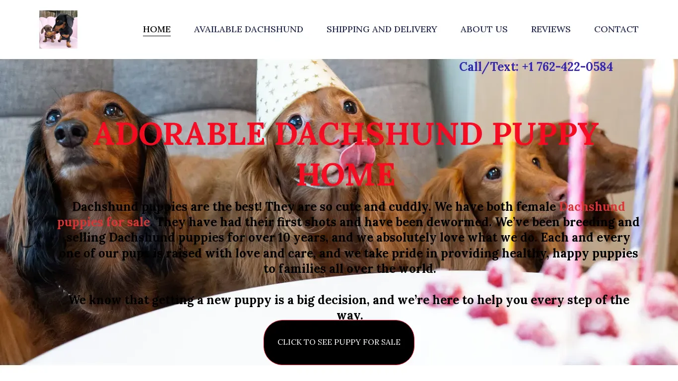 is fancydachshundpuppyhomeusa.com legit? screenshot