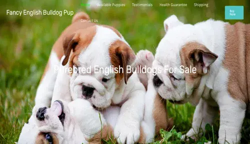 A screenshot of Genlanfamilystbernard.com