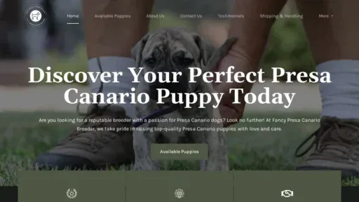 A screenshot of Fancypresacanario.com