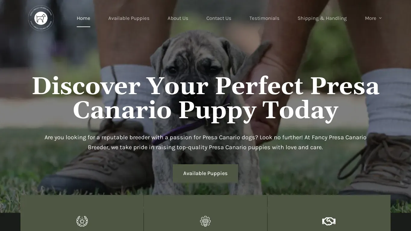 is fancypresacanario.com legit? screenshot