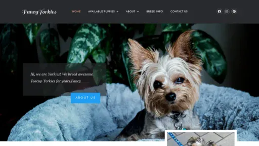 A screenshot of Fancyyorkiehome.com