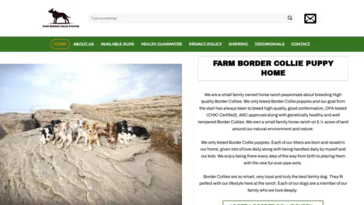 A screenshot of Farmbordercolliepuppies.com