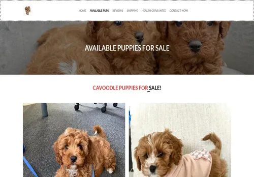 is farmilycavoodle.com legit? screenshot