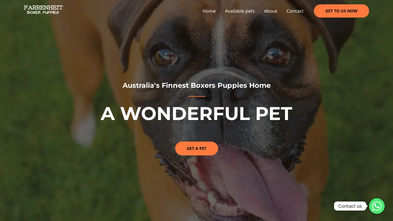 is farrenheitboxerpuppies.com legit? screenshot