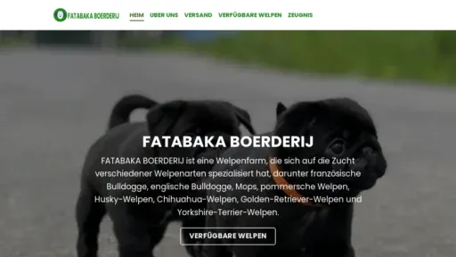 A screenshot of Fatimamwelpen.online