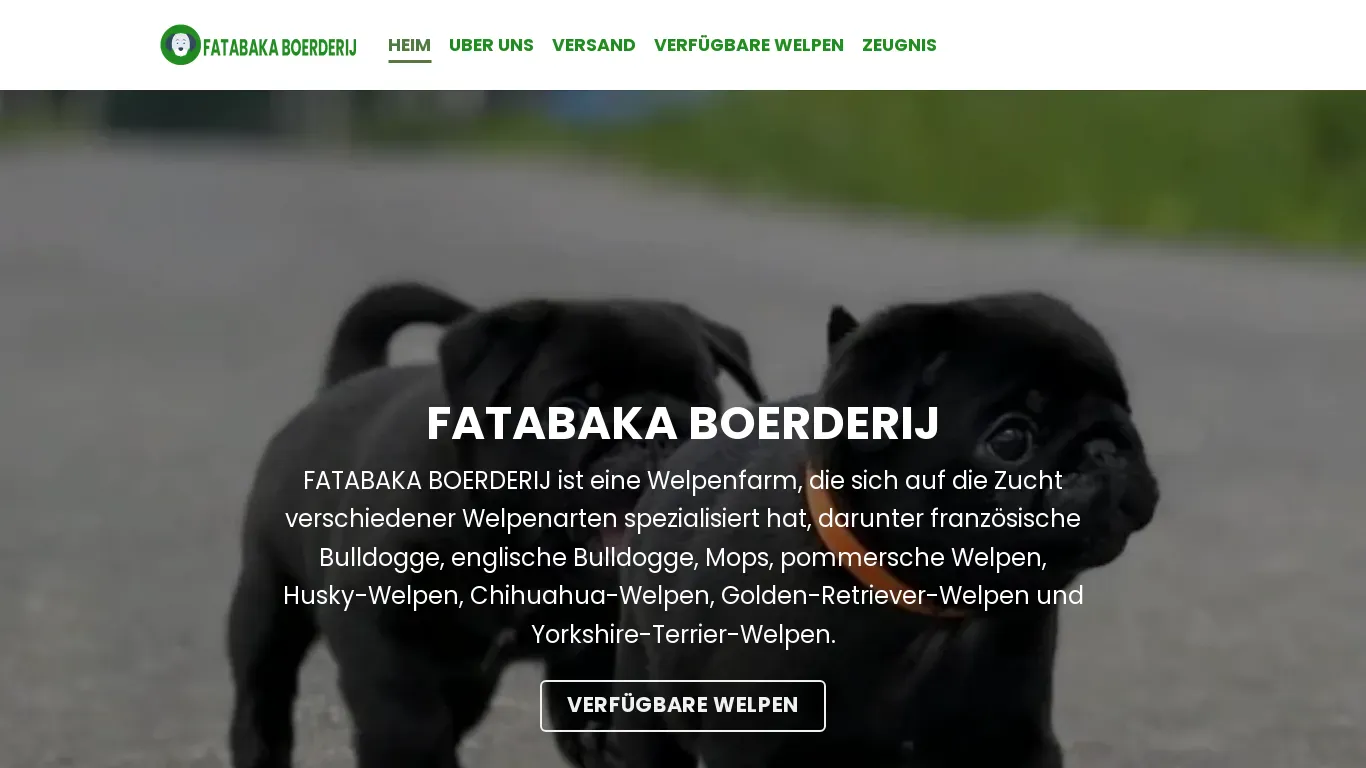 is FATABAKA BOERDERIJ – Französische Bulldogge, englische Bulldogge, Mops, pommersche Welpen, Husky-Welpen, Chihuahua-Welpen, Golden-Retriever-Welpen und Yorkshire-Terrier-Welpen legit? screenshot