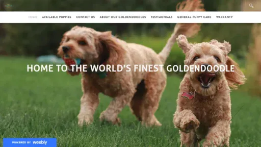 A screenshot of Favgoldendoodle.net