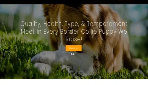 A screenshot of Genlanfamilystbernard.com
