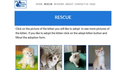 A screenshot of Felineforeverhomes.com