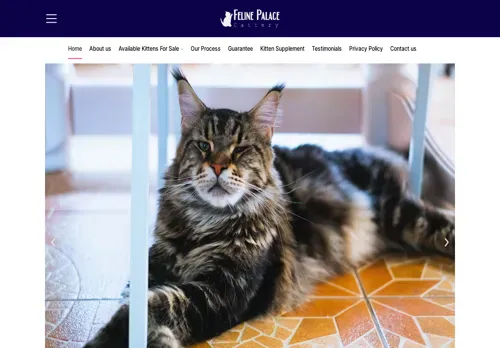 is felinepalacecattery.com legit? screenshot