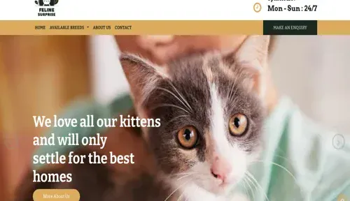 A screenshot of Genlanfamilystbernard.com