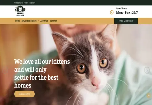 is felinesurprise.com legit? screenshot