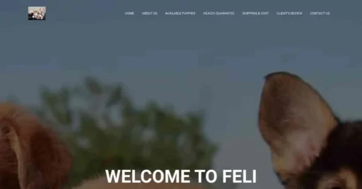 A screenshot of Genlanfamilystbernard.com